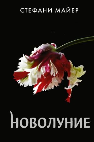 Новолуние   _ Yeni Ay