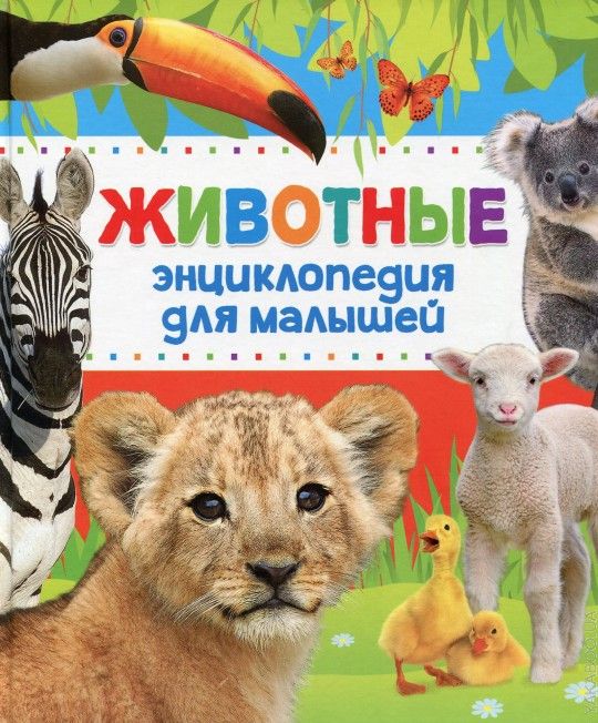 Энциклопедия животных для малышей  _ Hayvanlar. Çocuklar İçin Ansiklopedi