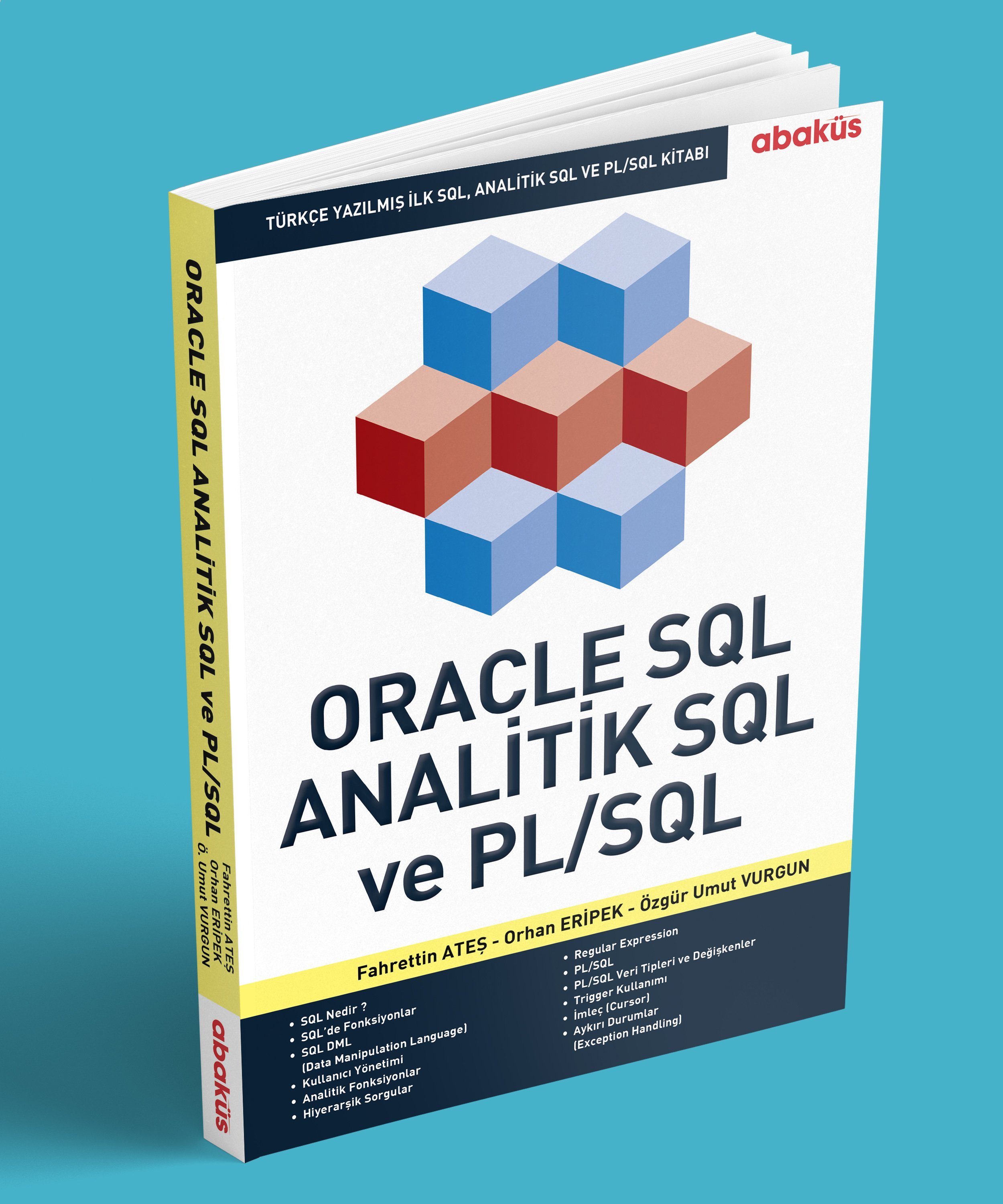 Oracle Veritabanı Güvenliği